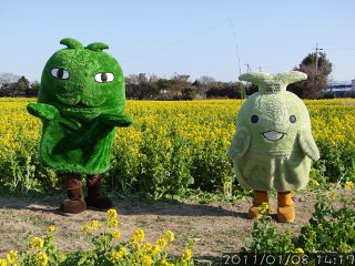 �����]�[���L�b�R��